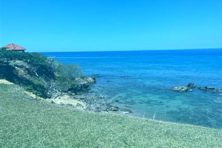 Olivia, 23 — Escort in Rincon, Puerto Rico