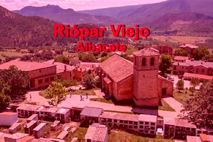 Olivia, 23 — Escort in Riopar, Spain