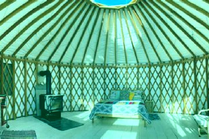 Olivia, 23 — Escort in Shaami-Yurt, Russia
