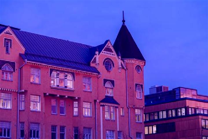 Olivia, 24 — Escort in Alppiharju, Finland