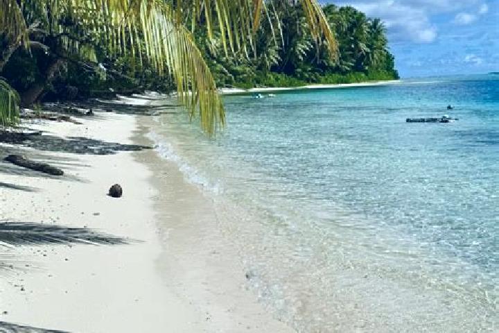 Olivia, 24 — Escort in Elato, Micronesia