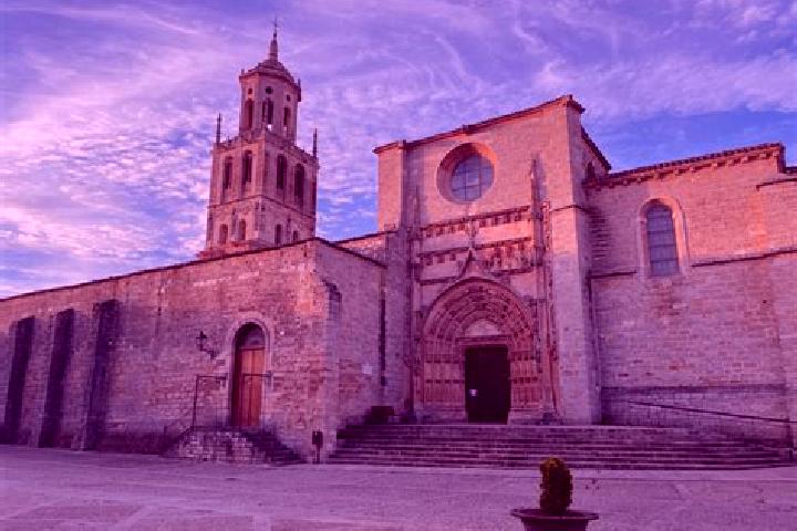 Olivia, 24 — Escort in Santa Maria del Campo, Spain