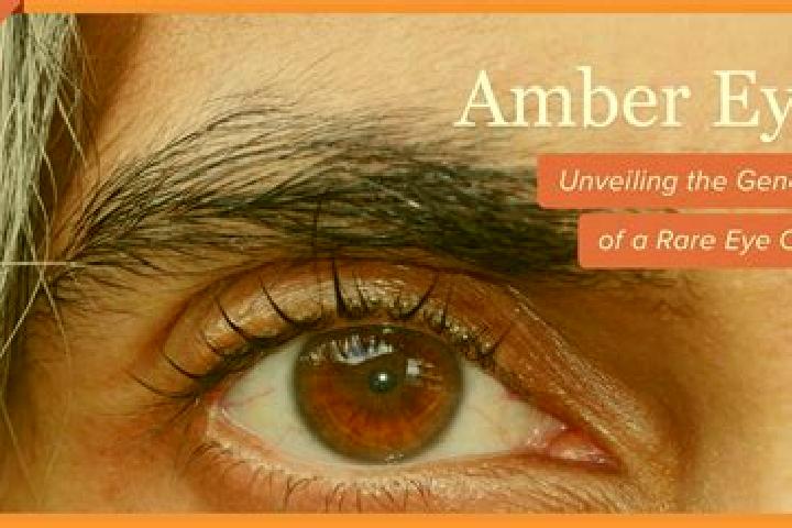 Olivia, 25, a red amber-eyed latina companion based in Fox Mountain. Offering Massage, BDSM, Duos. Available for incall and outcall, overnight bookings avail...