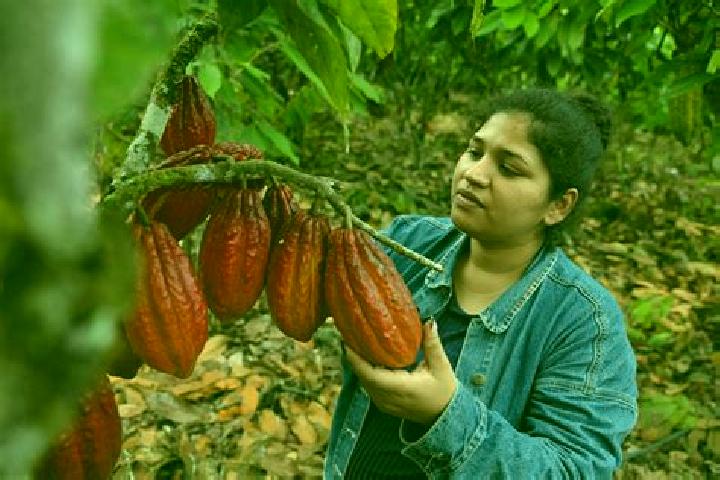 Olivia, 25 — Escort in Francisco J. Santamaria (Cacao), Mexico