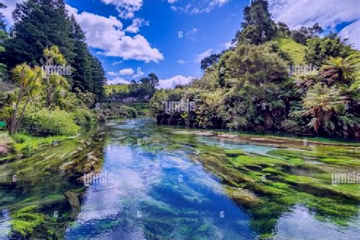 Olivia, 25 — Escort in Kihikihi, New Zealand