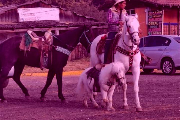 Olivia, 25 — Escort in La Marquesa, Mexico