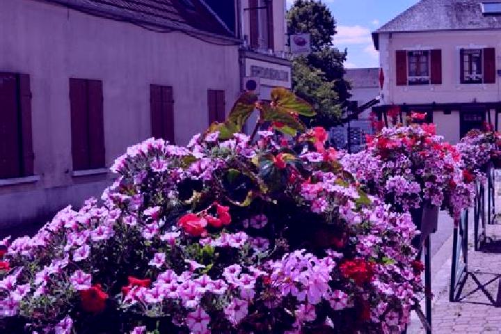 Olivia, 25 — Escort in Les Essarts, France