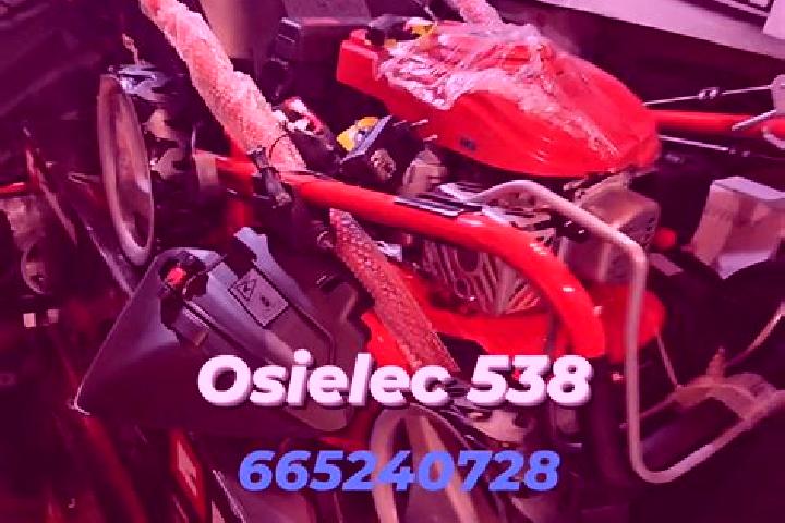 Olivia, 25 — Escort in Osielec, Poland