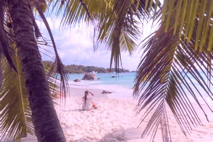 Olivia, 25 — Escort in Praslin, Saint Lucia