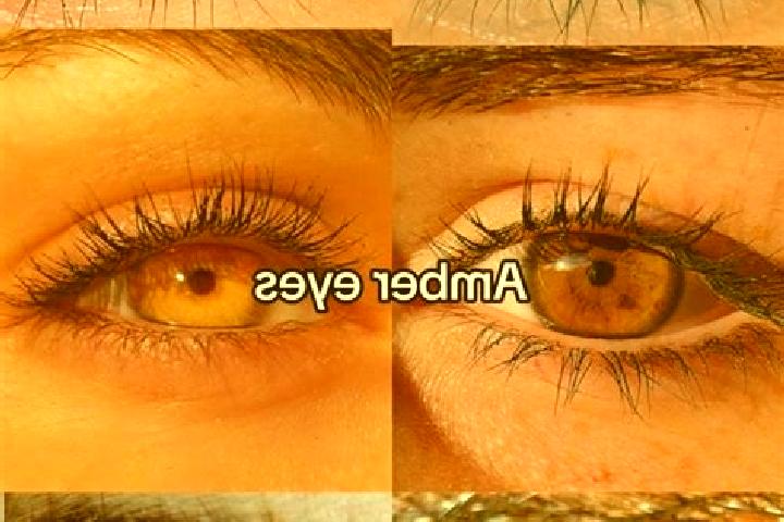 Olivia, 26, a chestnut amber-eyed european companion based in Maciel. Offering Domination, Duos, Erotic Massage, 69, Tantra. Available for incall and outcall...