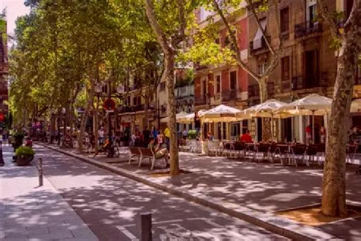 Olivia, 26 — Escort in Barri de Sant Andreu, Spain