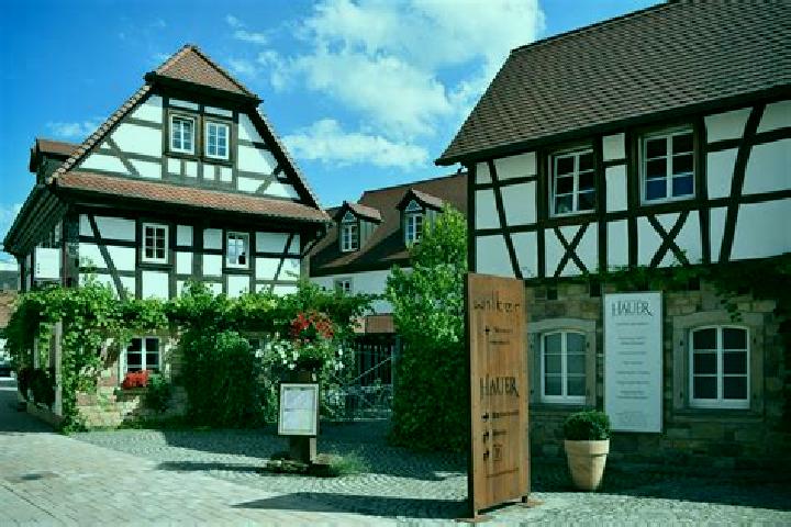 Olivia, 26 — Escort in Pleisweiler-Oberhofen, Germany