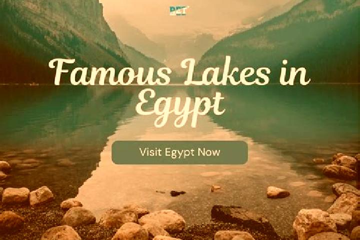 Olivia, 26 — Escort in Timayy al Imdid, Egypt