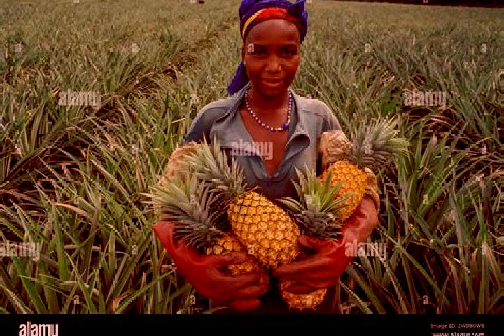 Olivia, 27 — Escort in Dabou, Ivory Coast