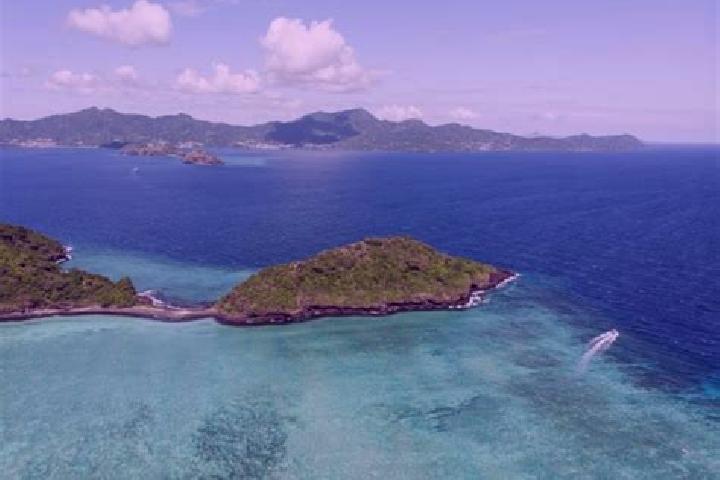 Olivia, 28 — Escort in Dzumogne, Mayotte