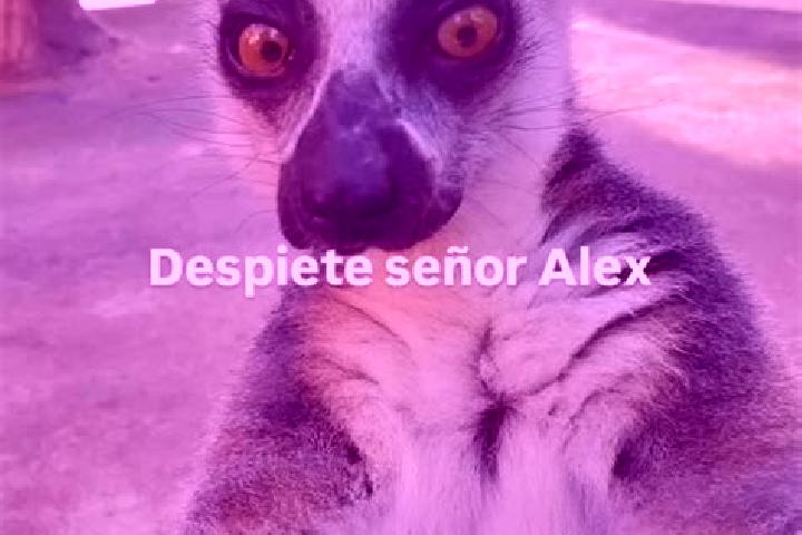 Olivia, 28 — Escort in Huapinol, Mexico