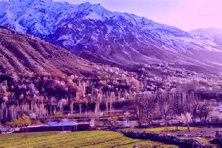 Olivia, 28 — Escort in Khorugh, Tajikistan
