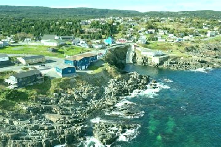 Olivia, 28 — Escort in Pouch Cove, Canada