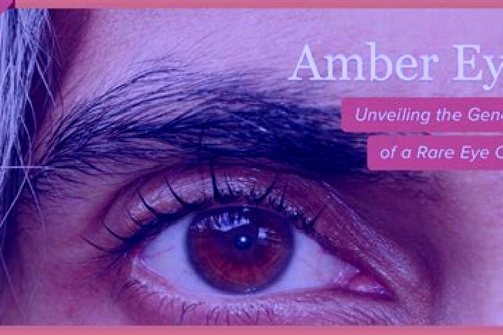 Olivia, 29, a red amber-eyed indian companion based in Canas. Offering Duos, Striptease, 69, Couples. Available for incall and outcall, overnight bookings av...