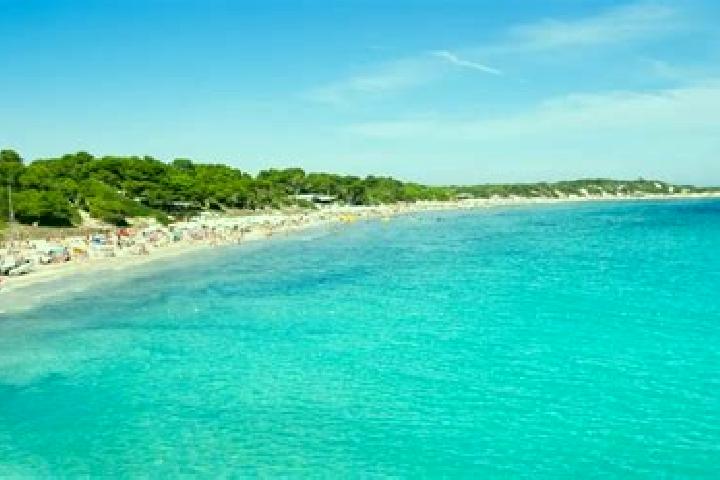 Olivia, 29 — Escort in Ses Salines, Spain