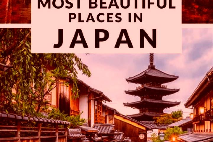 Olivia, 29 — Escort in Tamagawa, Japan
