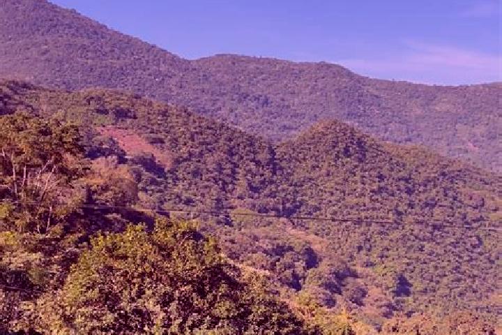 Olivia, 29 — Escort in Tamazunchale, Mexico