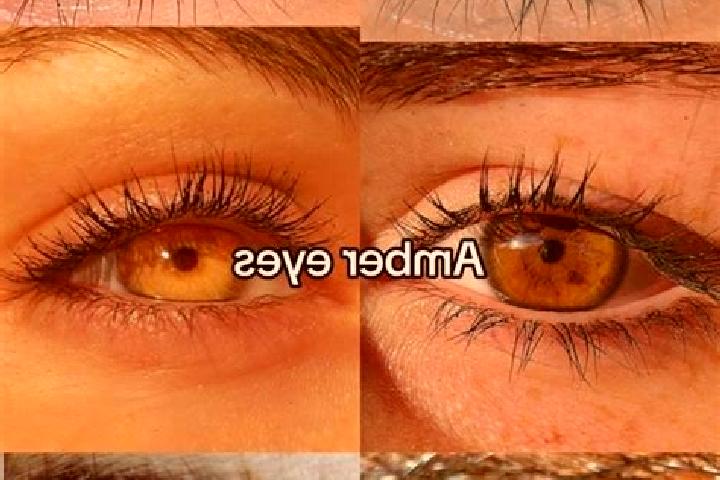 Olivia, 30, a chestnut amber-eyed asian companion based in Fiesso d Artico. Offering CIM, 69, Travel Companion. Available for incall and outcall, day and eve...