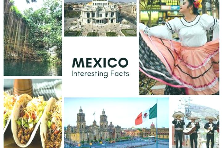 Olivia, 30 — Escort in Curimeo, Mexico