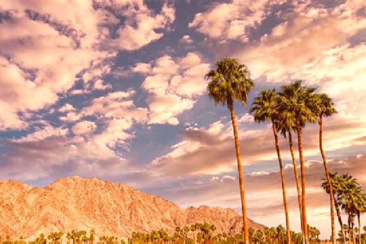 Olivia, 30 — Escort in Palm Springs, United States
