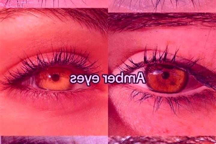 Olivia, 31, a chestnut amber-eyed indian companion based in Nova Esperanca. Offering Prostate Massage, Tantra, Overnight. Available for incall and outcall, d...