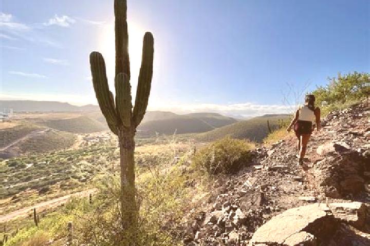 Olivia, 31 — Escort in Cerro de la Esperanza, Mexico