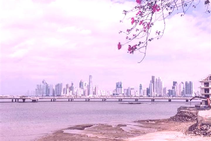 Olivia, 31 — Escort in Gannirdup, Panama