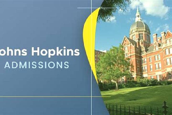 Olivia, 31 — Escort in Johns Hopkins Homewood, United States