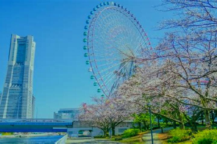 Olivia, 31 — Escort in Minatomirai, Japan