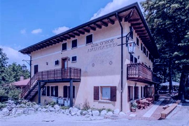 Olivia, 31 — Escort in Nervesa della Battaglia, Italy
