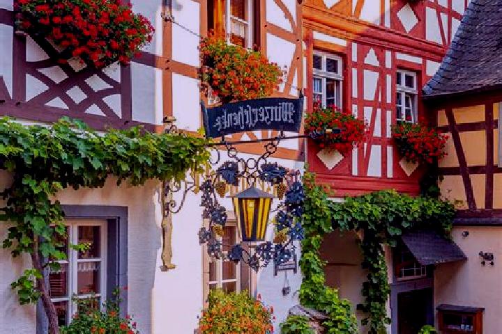 Olivia, 32 — Escort in Godenroth, Germany
