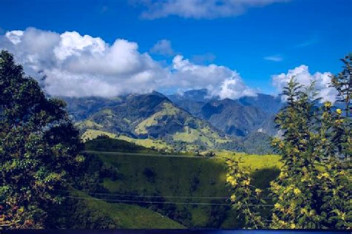 Olivia, 32 — Escort in La Sierra, Colombia