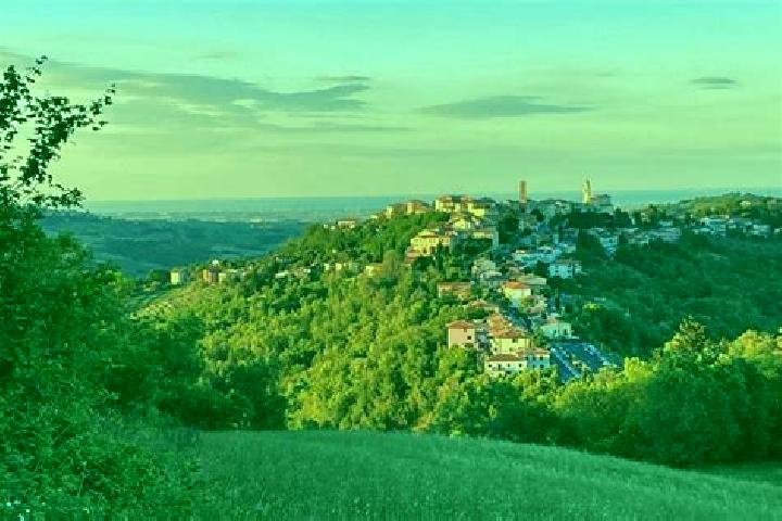 Olivia, 32 — Escort in Sogliano al Rubicone, Italy