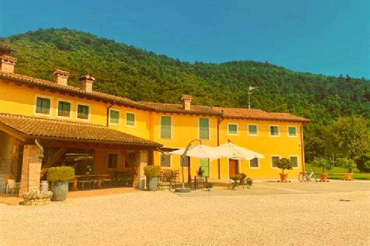 Olivia, 32 — Escort in Villaurbana, Italy