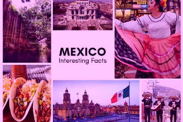 Olivia, 32 — Escort in Xalatzala, Mexico