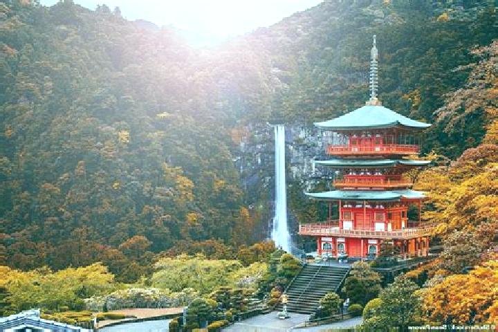 Olivia, 33 — Escort in Wakayama, Japan