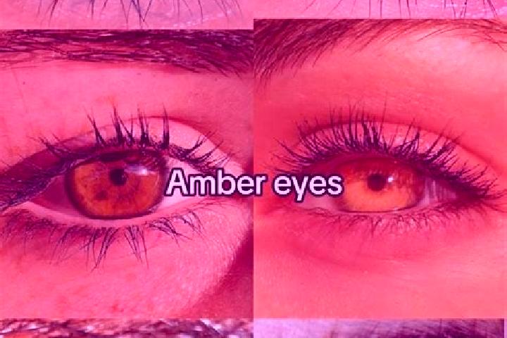 Olivia, 34, a chestnut amber-eyed middle eastern companion based in Cachoeiro de Itapemirim. Offering Prostate Massage, Travel Companion, GFE, Roleplay. Avai...