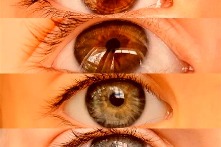 Olivia, 34, a chestnut dark-eyed middle eastern companion based in Supplingenburg. Offering Domination, BDSM, OWO. Available for incall and outcall, overnigh...