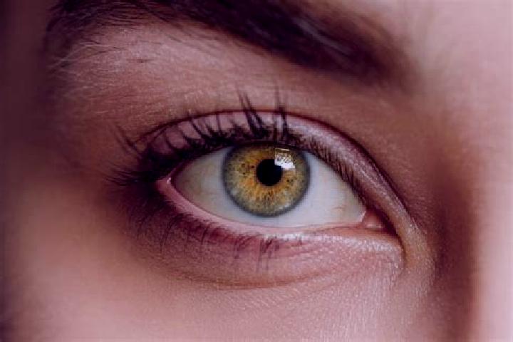 Olivia, 34, a chestnut hazel-eyed mixed companion based in Petrilaca de Mures. Offering Overnight, Fetish, Striptease. Available for incall and outcall, day ...