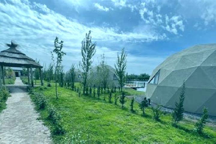 Olivia, 34 — Escort in Barda del Medio, Argentina