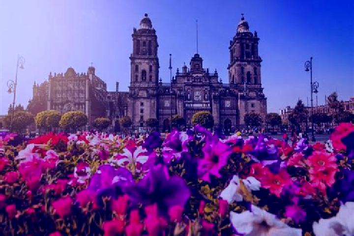 Olivia, 34 — Escort in Ciudad Tula, Mexico