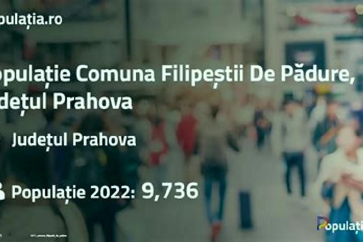 Olivia, 34 — Escort in Filipestii de Padure, Romania