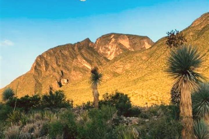 Olivia, 34 — Escort in La Flor de Jimulco, Mexico