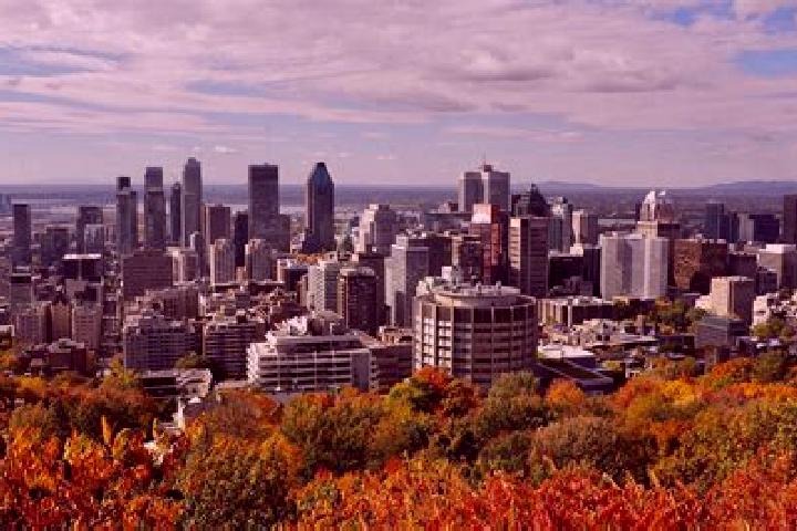 Olivia, 34 — Escort in Le Plateau-Mont-Royal, Canada