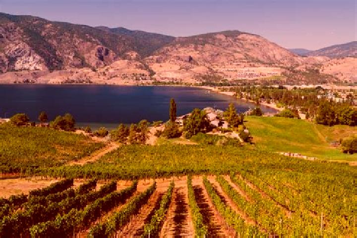 Olivia, 35 — Escort in Okanagan Mission, Canada